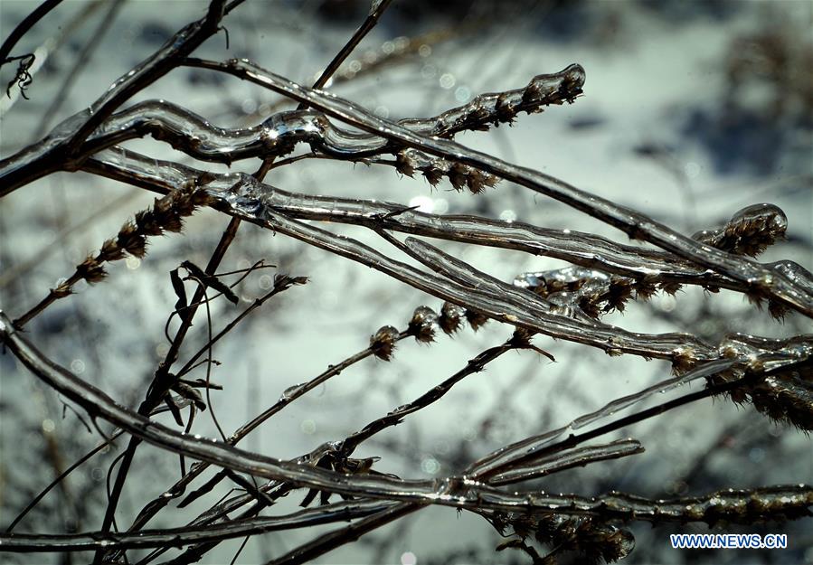 CHINA-HENAN-WINTER-ICE (CN)