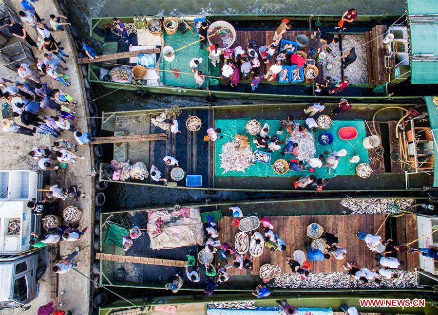 XINHUA-PICTURES OF THE YEAR 2017-CHINA 