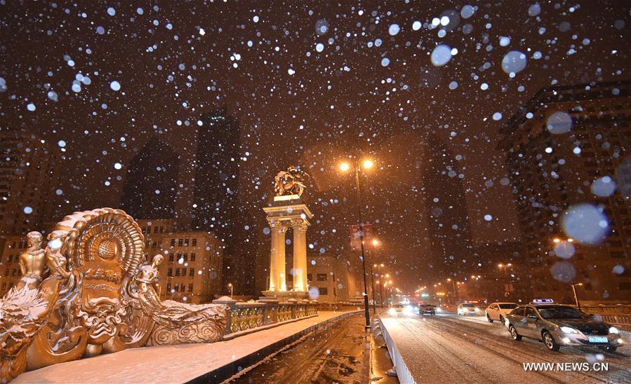 CHINA-TIANJIN-SNOWFALL(CN)