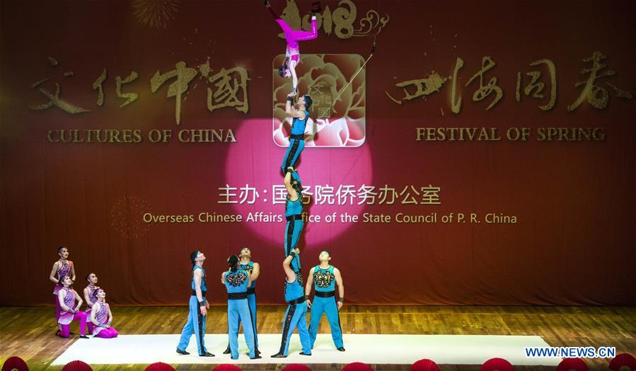 BRAZIL-RIO DE JANEIRO-CHINESE SPRING FESTIVAL-GALA