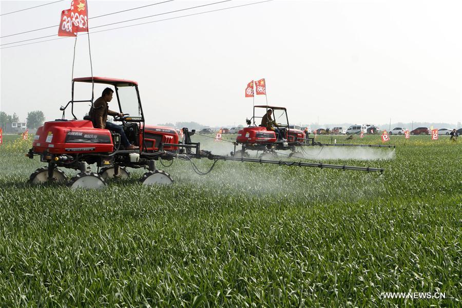 #CHINA-SPRING-FARM WORK (CN)