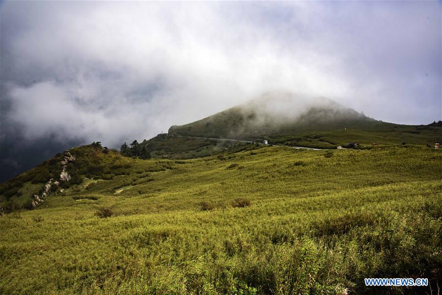 CHINA-HUBEI-SHENNONGJIA-SCENERY (CN)