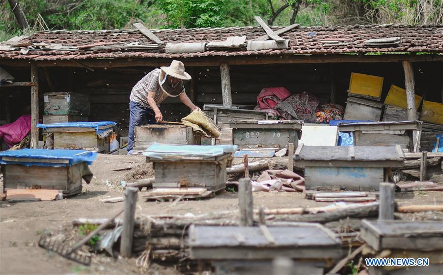 CHINA-JILIN-POVERTY ALLEVIATION-BEEKEEPING (CN)