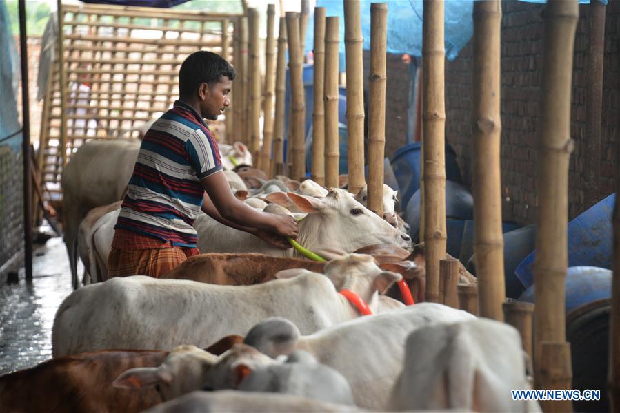 BANGLADESH-DHAKA-SACRIFICIAL-ANIMALS