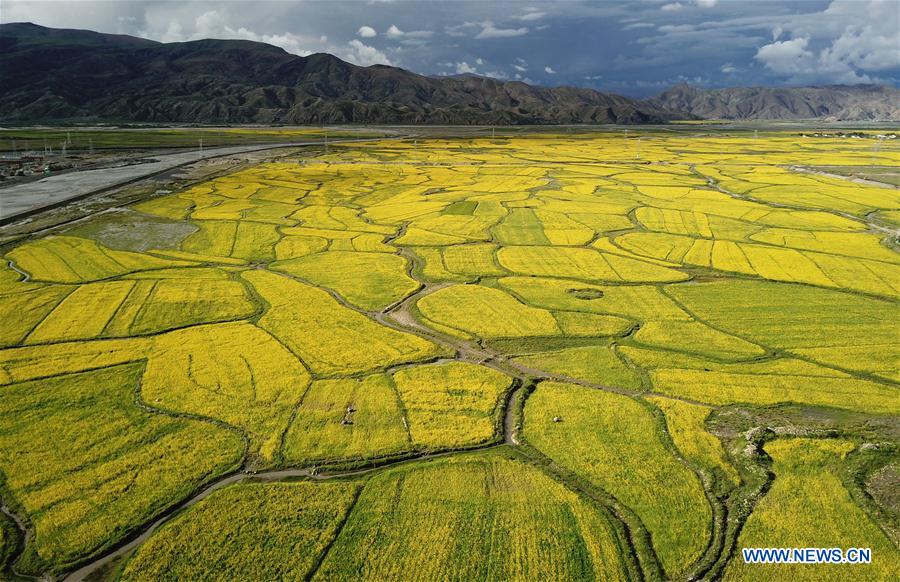 CHINA-TIBET-XIGAZE-SCENERY (CN)