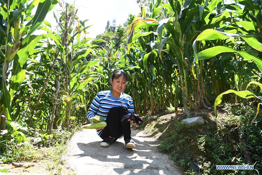 CHINA-CHONGQING-DISABLED FEMALE FARMER (CN)