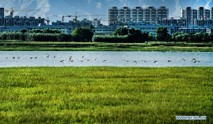 CHINA-SHANXI-HULIUHE WETLAND-SCENERY (CN)