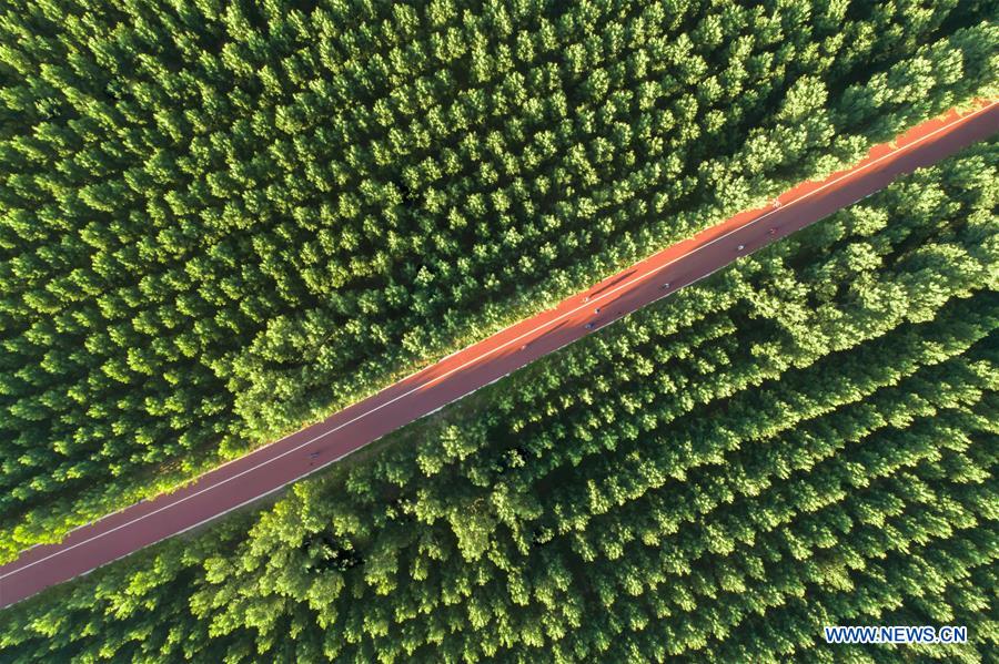 #CHINA-SHANDONG-GAOQING-ROAD (CN)