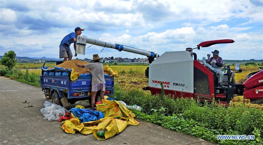 #CHINA-JIANGXI-AUTUMN-HARVEST (CN)