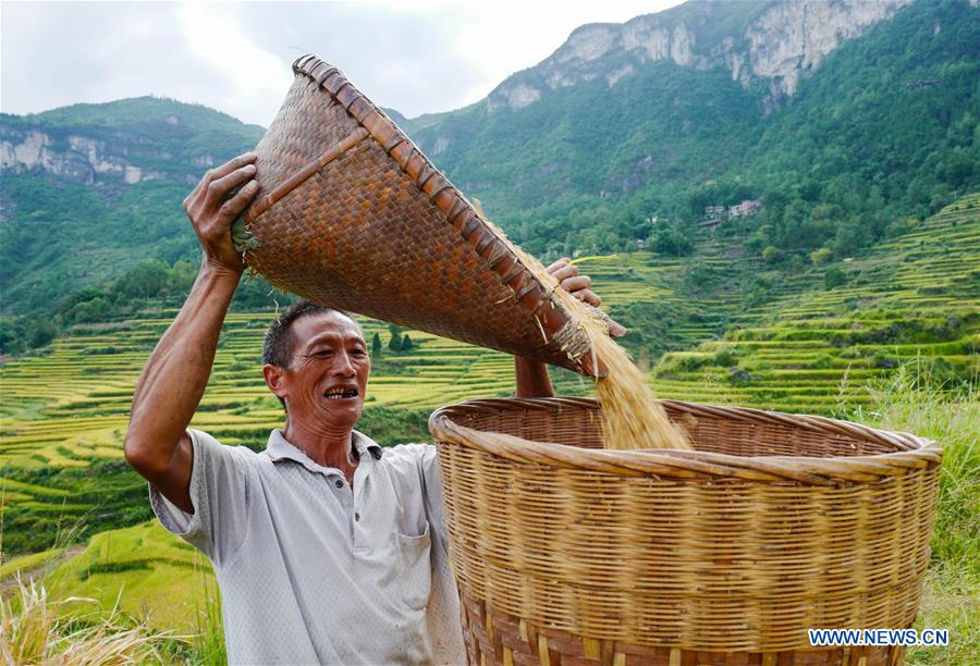 CHINA-CHONGQING-FARMWORK-TOURISM (CN)