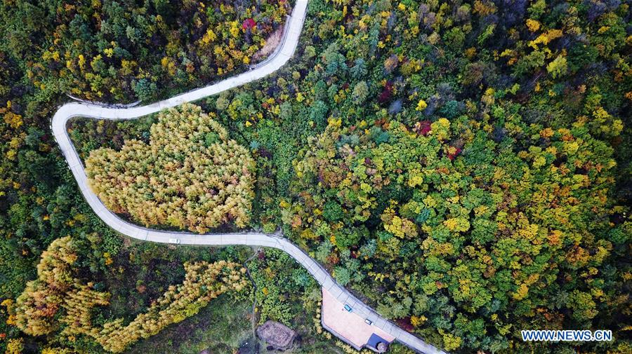 CHINA-GANSU-LIANGDANG-AUTUMN-LANDSCAPE (CN)