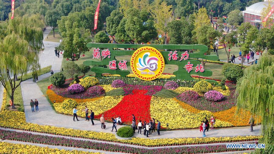 #CHINA-JIANGSU-CHRYSANTHEMUM-SHOW (CN)