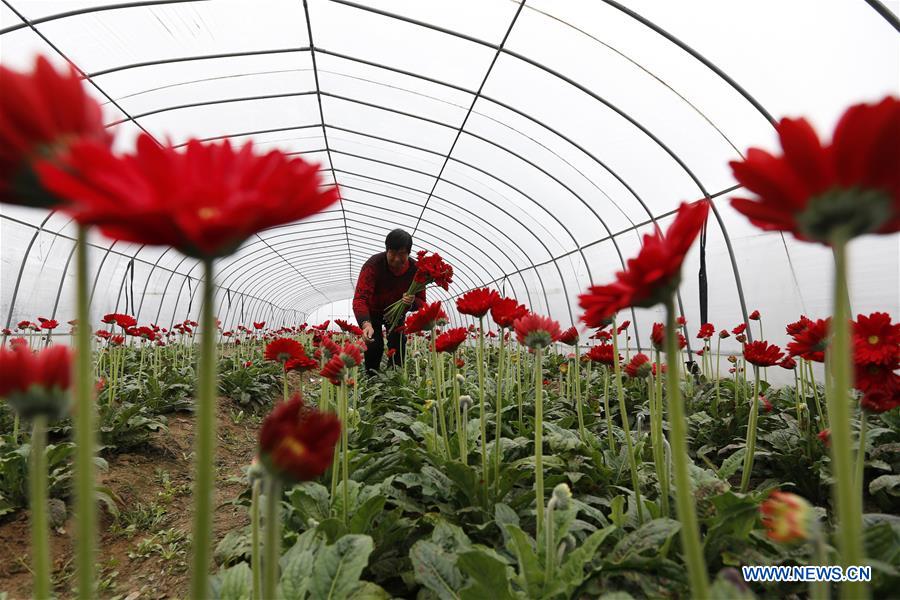 #CHINA-WINTER-FARM WORK (CN)