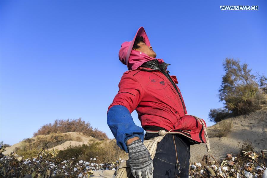 CHINA-XINJIANG-URUMQI-COTTON SEASON(CN)