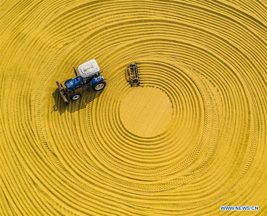 CHINA-SCENERY-GEOMETRY-CIRCLE (CN)