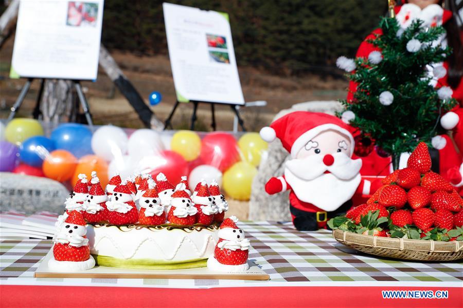 SOUTH KOREA-GYEONGSANGBUK-DO-SANTA VILLAGE