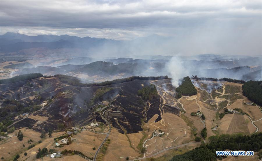 NEW ZEALAND-SOUTH ISLAND-BUSH FIRE