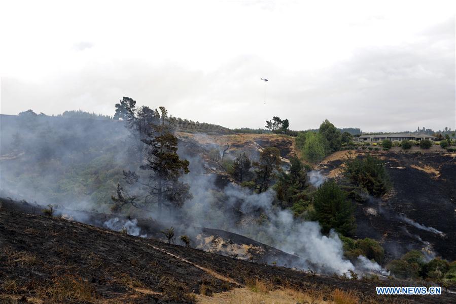 NEW ZEALAND-SOUTH ISLAND-BUSH FIRE