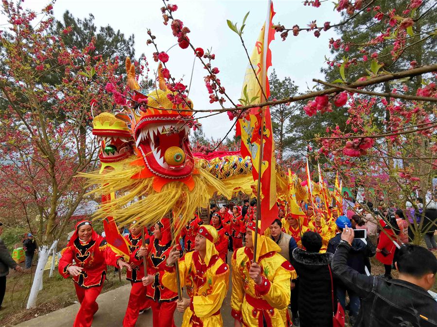 #CHINA-GUANGXI-HUANJIANG-PEACH BLOSSOM FESTIVAL (CN)