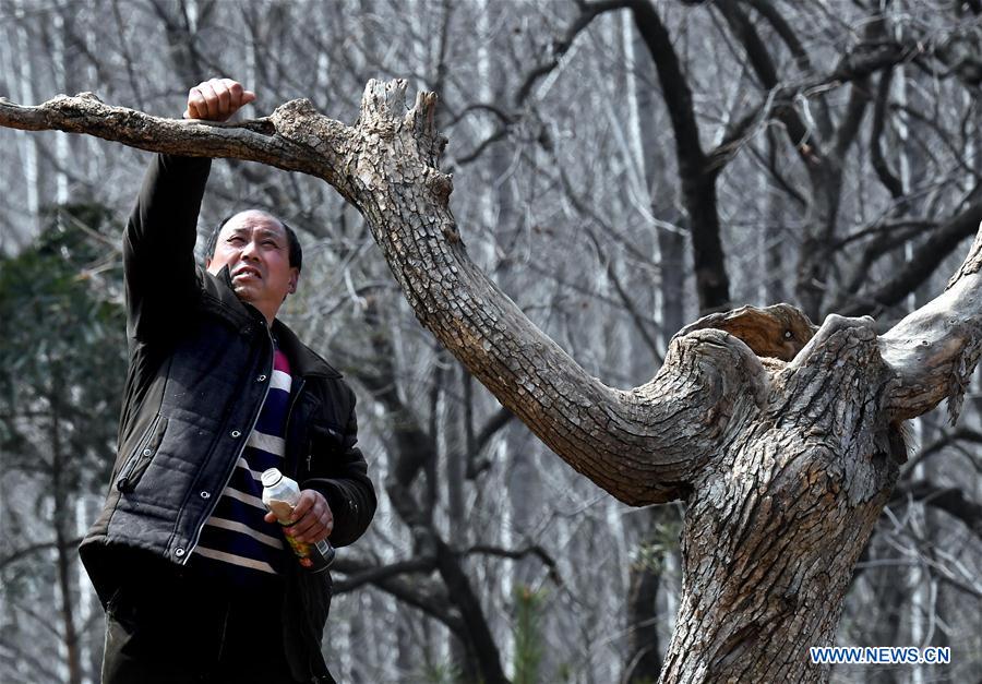 CHINA-HENAN-WILD BIRDS-PROTECTION (CN)