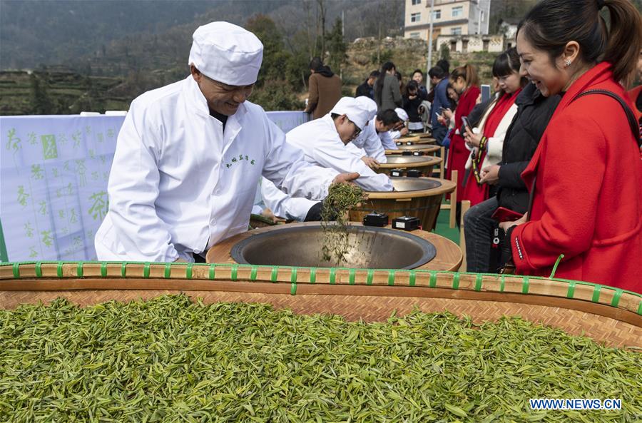 #CHINA-ZIGUI-EARLY SPRING TEA (CN)