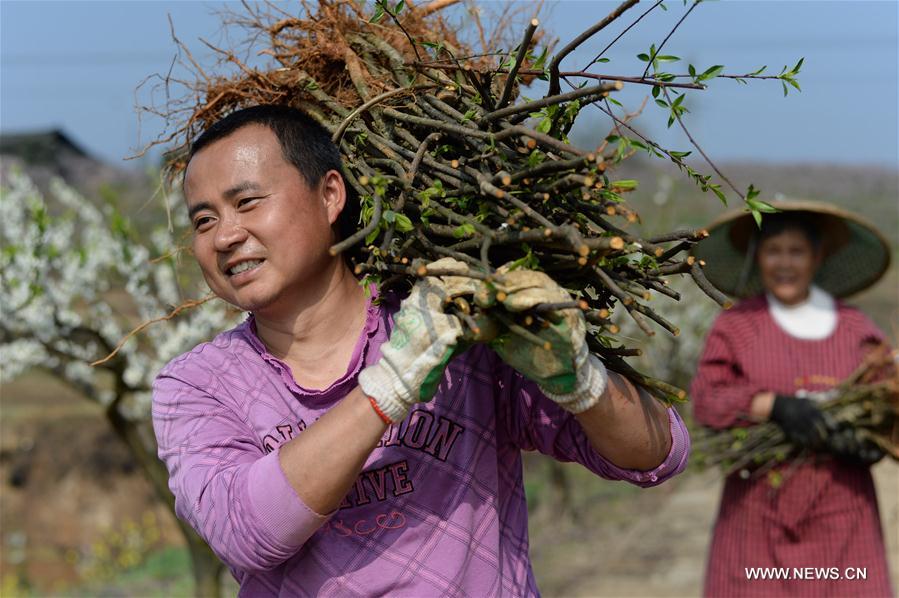 CHINA-CHUNFEN-FARM WORK(CN)