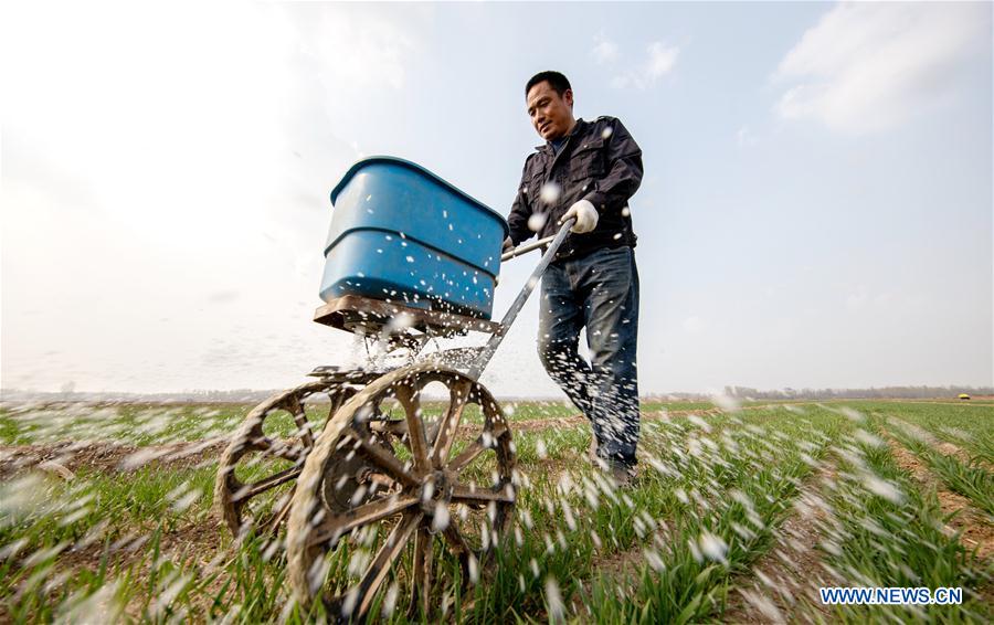 CHINA-SPRING-FARM WORK (CN)