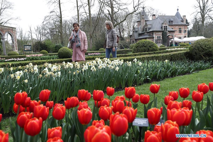 BELGIUM-BRUSSELS-FLOWER SHOW