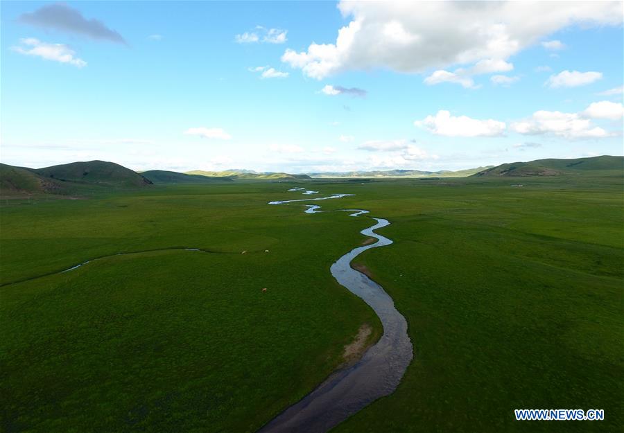 CHINA-INNER MONGOLIA-PASTURE SCENERY (CN)