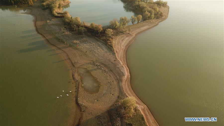 CHINA-ANHUI-HEFEI-EARLY WINTER-SCENERY (CN)