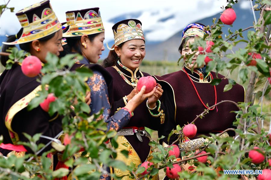 (InTibet) CHINA-TIBET-NYINGCHI-APPLE CULTIVATION PROFESSOR (CN) 