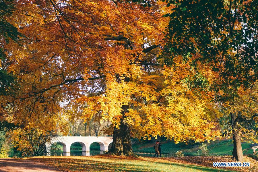 BELGIUM-BRUSSELS-AUTUMN SCENERY