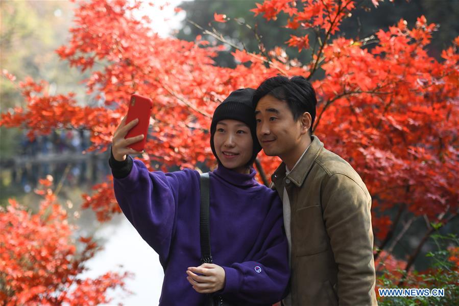 CHINA-HUNAN-CHANGSHA-MAPLE LEAF (CN)