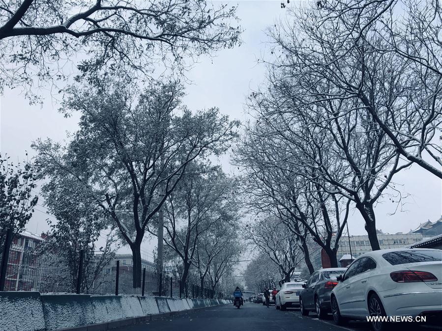 (BeijingCandid)CHINA-BEIJING-WINTER (CN)