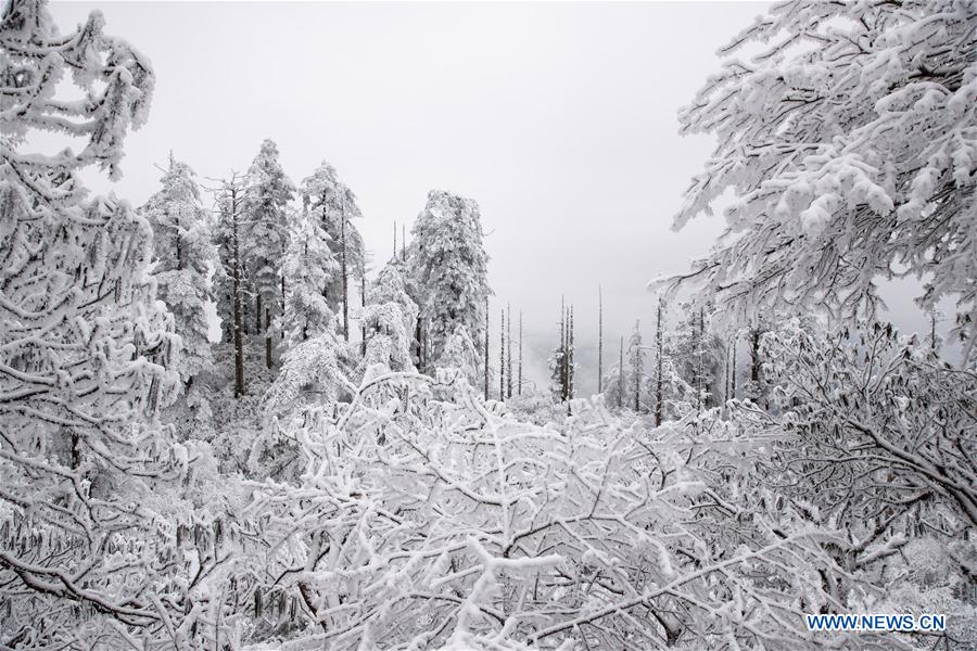 CHINA-SICHUAN-WAWU MOUNTAIN-SCENERY (CN)