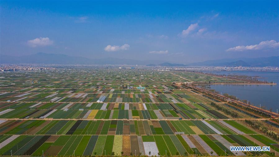 CHINA-YUNNAN-TONGHAI-FIELDS (CN)