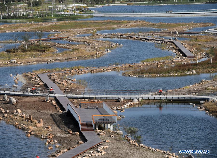 CHINA-TIANJIN-WETLAND-ENVIRONMENT (CN)