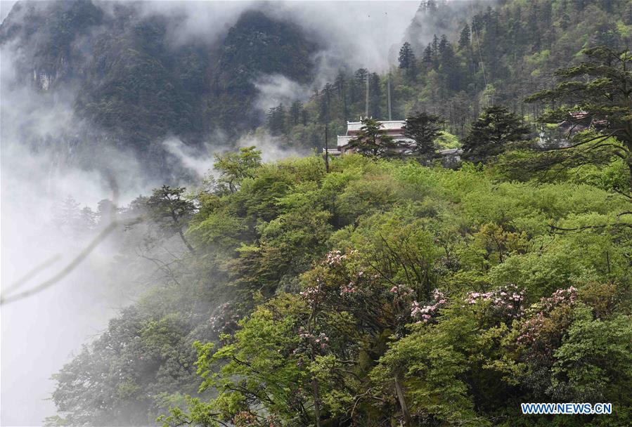 CHINA-SICHUAN-MOUNT EMEI-SCENERY (CN)