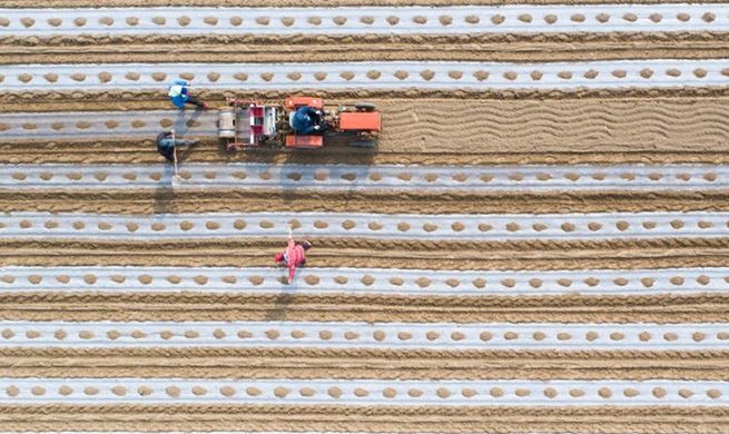 Farm work across China