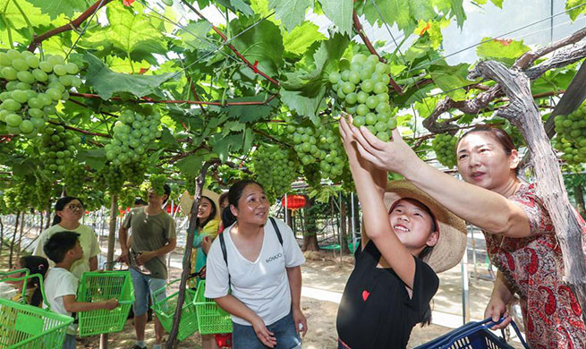 In pics: grape-themed tourism in Lujiapu Village in Hangzhou