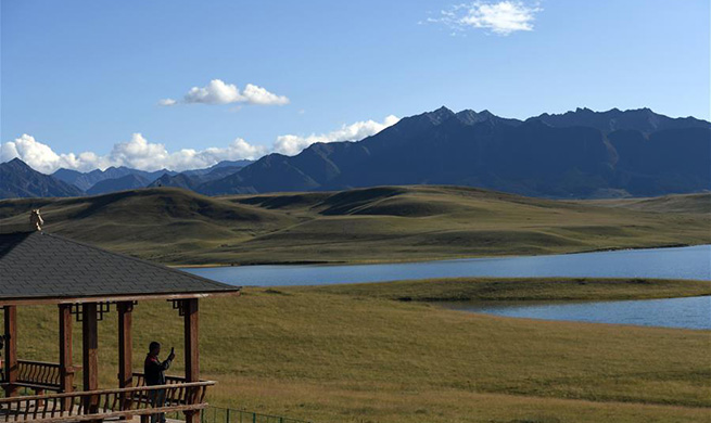 Beautiful scenery of Shandan horse ranch in NW China's Gansu