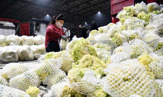 China's Shouguang activates emergency plans to ensure vegetable supply