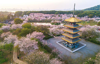 Weekly choices of Xinhua photo