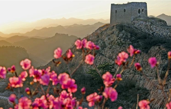 Scenery of ancient Great Wall in NE China's Liaoning