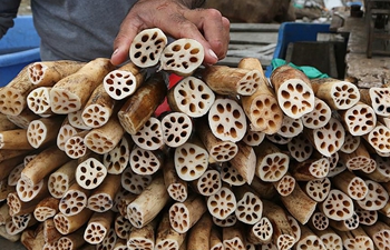 Kashmiri vendor sells lotus stems in summer capital of Indian-controlled Kashmir