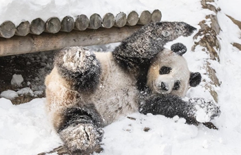 Panda World of Everland in south of Seoul opens to public for 1,000 days