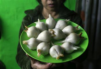 Nepalese woman makes yomari during Yomari Punhi festival