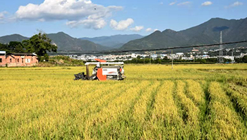 云南省粮食安全宣传教育基地落户双江