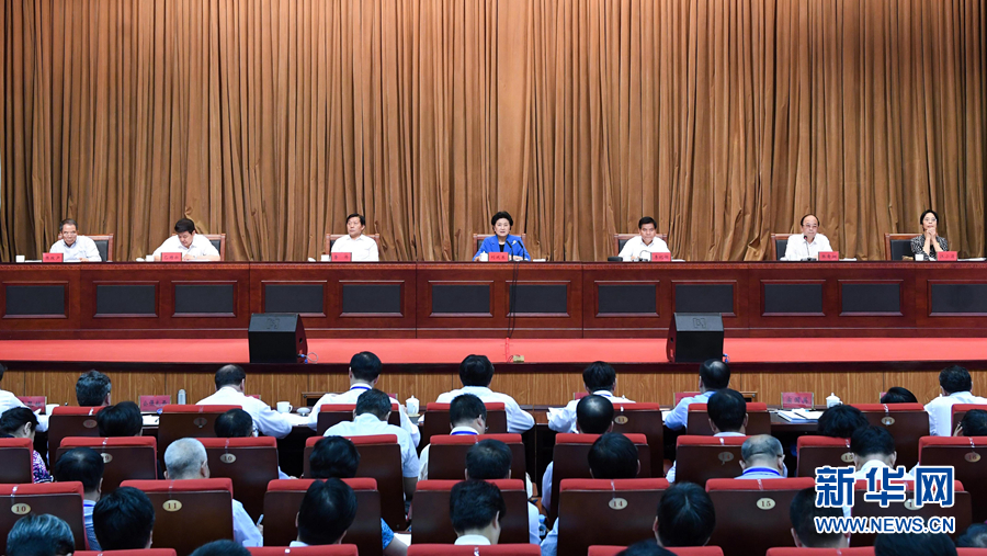 6月25日，全国民族团结进步创建经验交流现场会在内蒙古兴安盟召开，中共中央政治局委员、国务院副总理刘延东出席会议并讲话。 新华社记者 陈晔华 摄