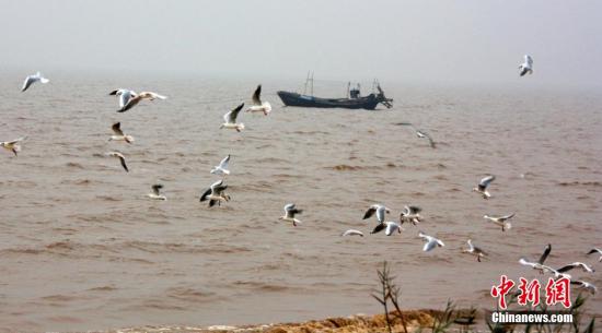 资料图：渤海湾畔。王占军 摄